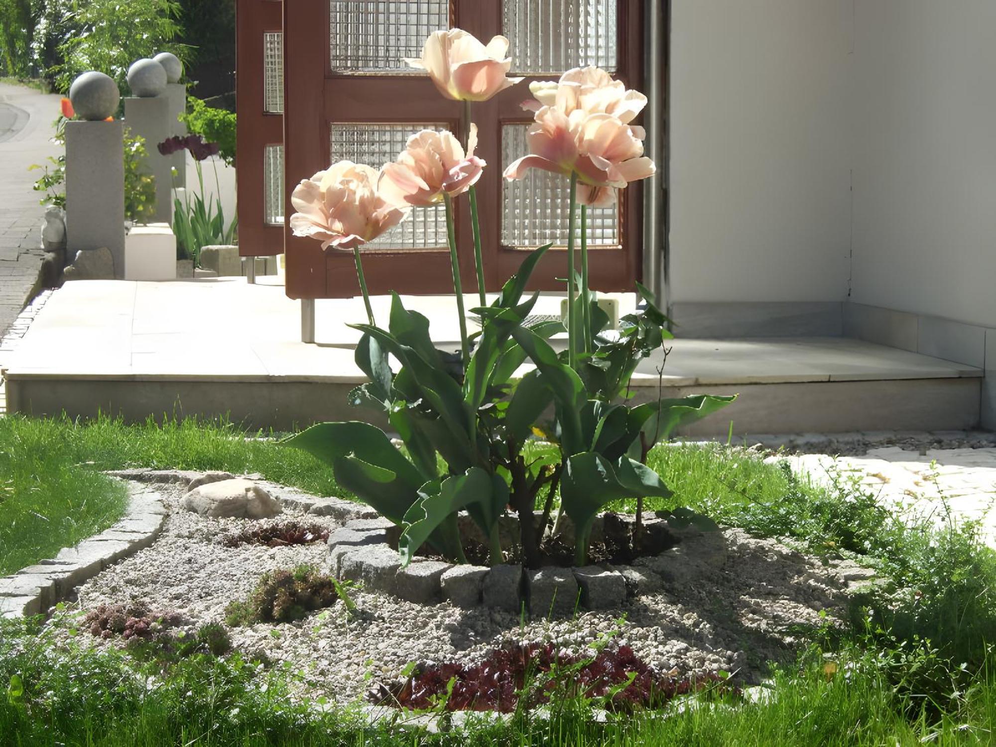 Regina'S Gaestehaus Weisenbach Ngoại thất bức ảnh
